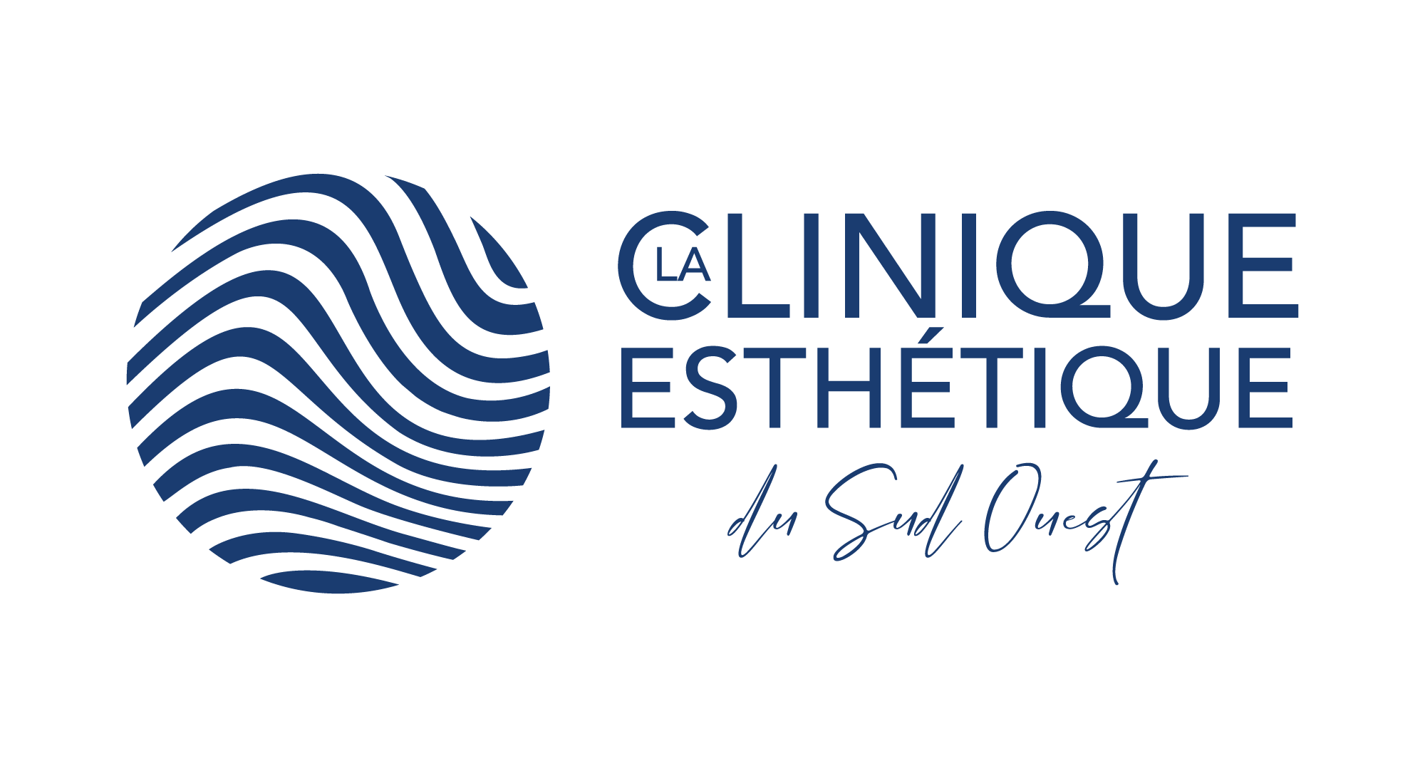Ceso Logo Horizontal Bleu(1)
